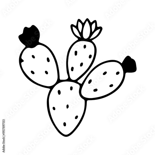 Prickly Pear Cactus Doodle Icon