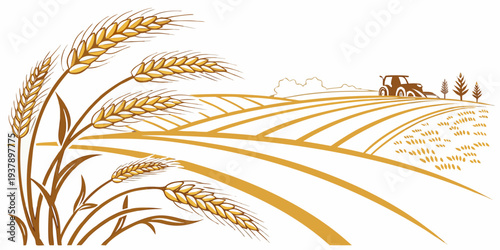 Golden wheat field with a small bird perched on a stalk under a clear blue sky. Vector
