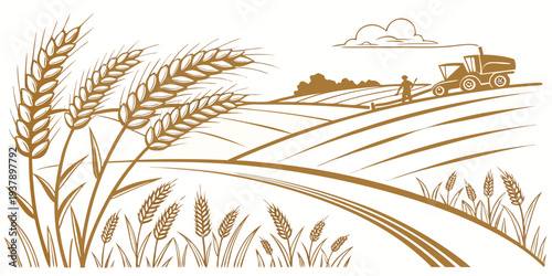 A serene landscape featuring tall grass and a distant horizon under a clear sky Vector