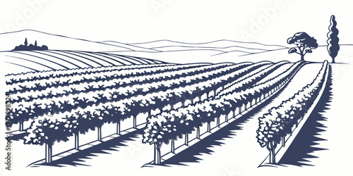 Aerial view of a vast solar farm with rows of solar panels under a clear sky Vector