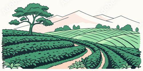 A picturesque view of a winding road through lush green tea plantations Vector