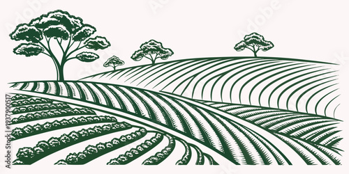 A serene landscape of rolling hills covered in lush green grass and dotted with trees Vector
