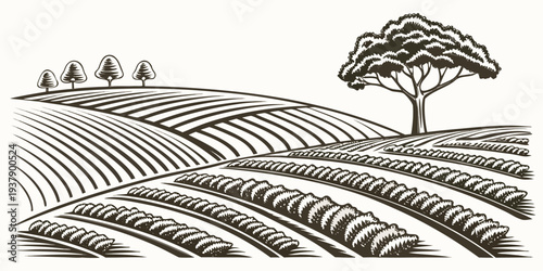 A serene landscape with a single tree standing tall amidst a vast field of crops Vector