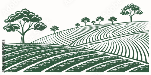 A serene landscape of rolling hills covered in lush green grass and dotted with trees. Vector