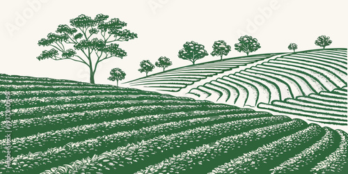 A serene landscape of rolling hills covered in lush green trees and crops Vector