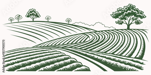 Aerial view of a vast agricultural field with a winding road and trees in the distance Vector