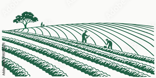A vast field of crops under a clear blue sky with a few scattered clouds Vector