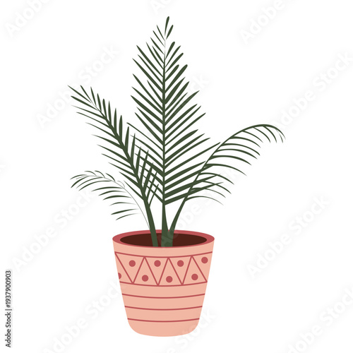 Palm houseplant in decorative pot vector illustration, indoor palm plant isolated on white background