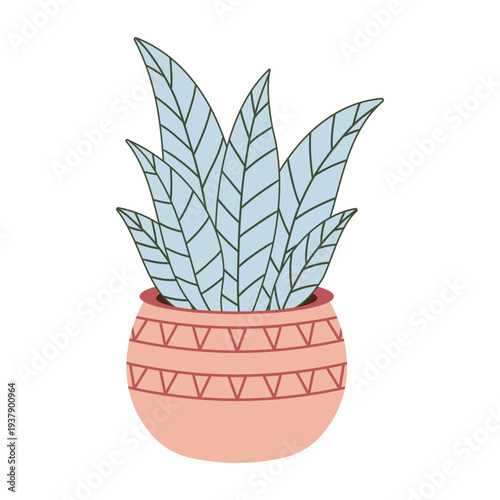 Vector illustration of indoor botanical houseplant in decorative pot.