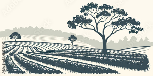 A serene landscape with a winding path leading to a solitary tree on a hill Vector