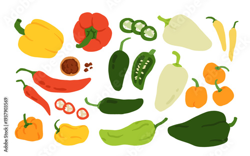Pepper variety set. Bell, chili, jalapeno, habanero, banana, poblano, cayenne, sweet pepper types. Vegetable collection hand drawn vector illustration