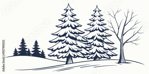 A serene winter landscape with tall pine trees covered in snow. Vector