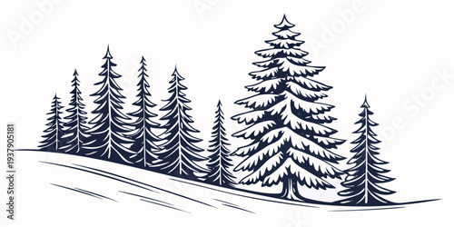 Majestic snow-covered pine trees standing tall in a serene winter landscape Vector