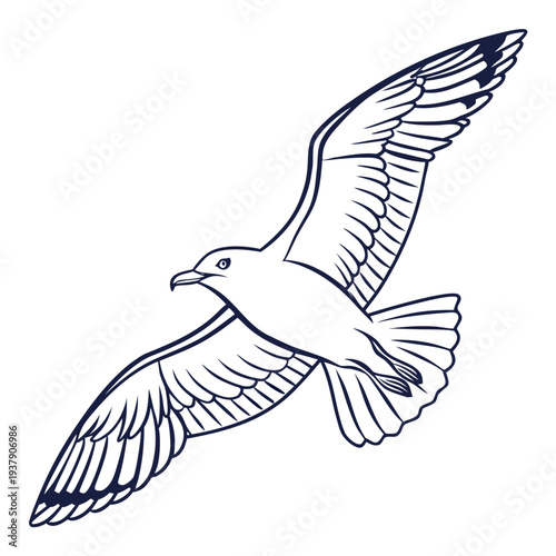 A detailed illustration of a bird in flight, showcasing its wingspan and intricate feather patterns. Vector