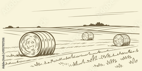 A serene landscape with hay bales in the foreground and distant hills Vector