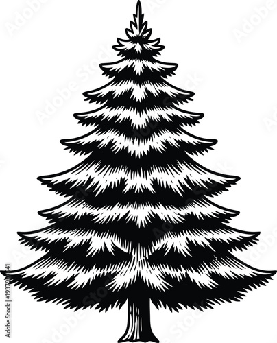 Detailed Black and White Pine Tree Illustration Isolated on White
