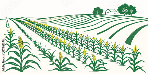 Aerial view of a vast and meticulously organized agricultural field with green plants. Vector