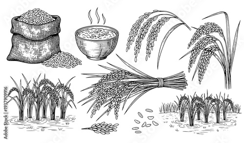 Hand drawn rice farming vector sketch set with grain sack porridge bowl rice ears and field