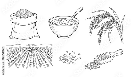 Rice doodle vector set with grain sack porridge bowl rice ears and rice field hand drawn sketch elements