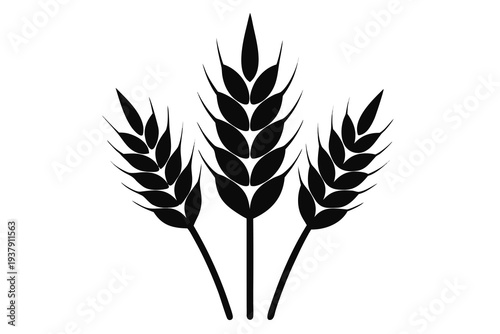 Wheat, Cereal Crop Icon