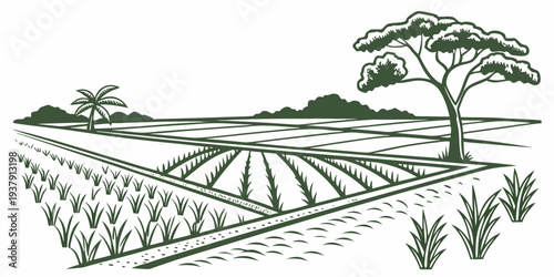 A serene landscape of rolling hills covered in crops with trees in the distance Vector