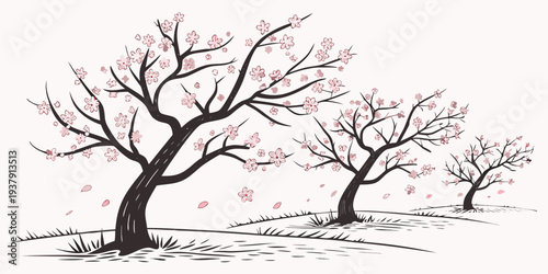 Two bare trees stand tall against a clear sky with birds perched on their branches Vector