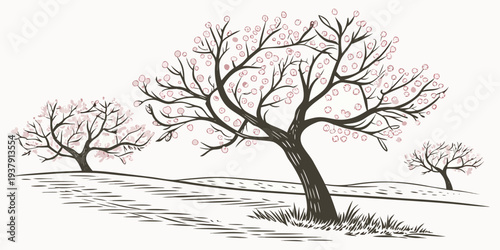 A bare tree standing in a field with a clear sky in the background. Vector