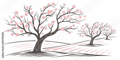 Three barren trees standing in a field with a few scattered leaves on the ground Vector
