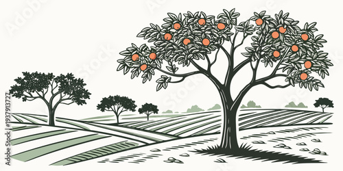 A serene landscape featuring a vast vineyard with rows of grapevines and three prominent trees Vector