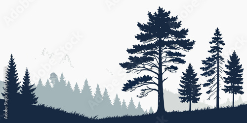 Silhouette of tall trees against a bright sky in a dense forest landscape Vector
