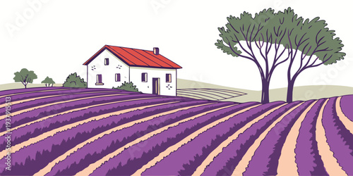 A picturesque lavender field with a charming farmhouse and trees in the background Vector