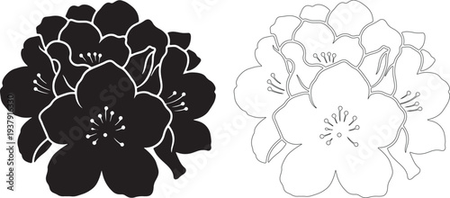 Black and white azalea flower silhouettes cluster