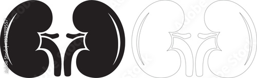 Solid black and outline kidney silhouette white
