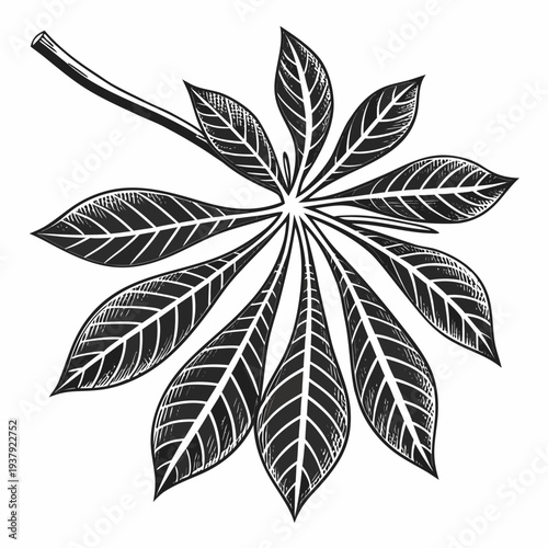 A detailed illustration of a single leaf with intricate vein patterns Vector