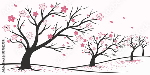 Three bare trees with pink blossoms in front of a white background Vector
