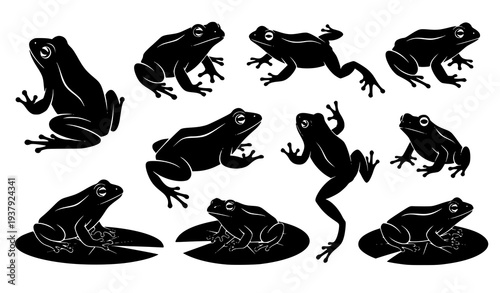 Frog Silhouette Set Vector Collection of Jumping and Sitting Amphibians Isolated on White Background