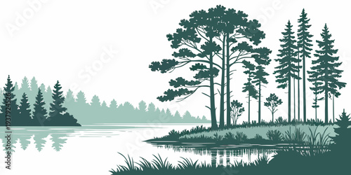 Serene landscape of tall trees reflecting on a calm lake under a clear sky Vector
