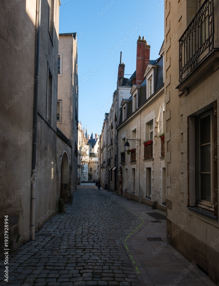 Obraz premium Ruelle pavée pittoresque et commerces menant au Château des ducs de Bretagne