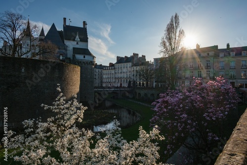 Printemps au Château des ducs de Bretagne à Nantes avec magnolias en fleurs