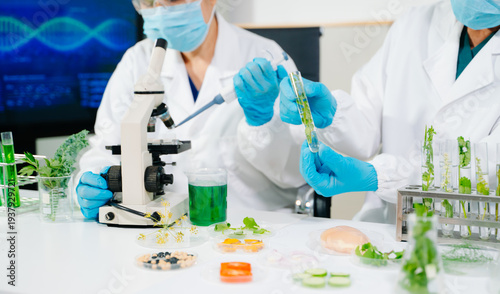 Scientists analyzing plant samples in biotechnology laboratory using microscope and test tubes. Concept of medical research, food science