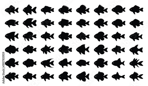 Freshwater Fish Silhouette Icon Collection, Comprehensive Fish Shape Collection for Surface Pattern, Large Freshwater Fish Icon Vector Bundle