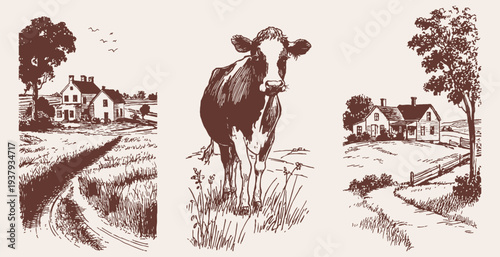 Rural farm landscapes and cow countryside life set. Village houses, winding roads and grazing cattle scenes. Illustration for agriculture branding or editorial. Pencil drawn sketch style.