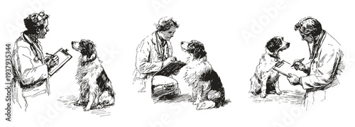 Veterinarian consulting dog and writing clinical report. Illustrations for veterinary services and education. Ink crayon drawn style sketch presents doctor with clipboard and attentive pet.