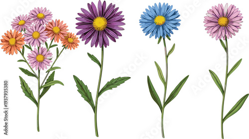 Minimal line art vector illustration of assorted flowers with detailed petals and leaves showcasing botanical diversity and natural beauty