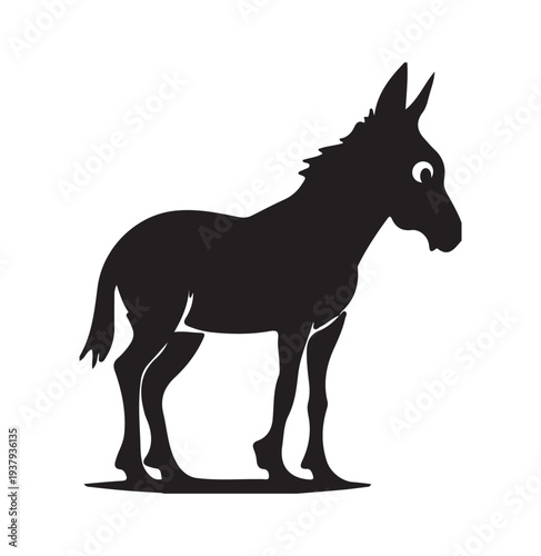  Midnight Donkey Shadow