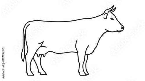 Monochrome Cow Illustration: A sleek, simple line drawing of a dairy cow standing in profile, illustrating the essential features of the animal with elegant precision.