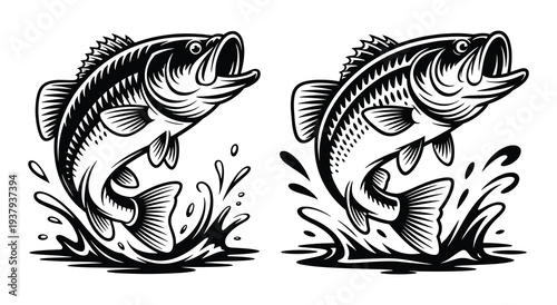Largemouth Bass Leaping Water Splash, Largemouth Bass Jumping Water Splash Vector Illustration, Premium Engraving Style, Detailed Black White Vintage Freshwater Fish