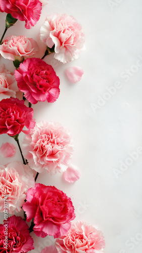 母の日のカーネーション｜コピースペースのあるフラワー背景素材
