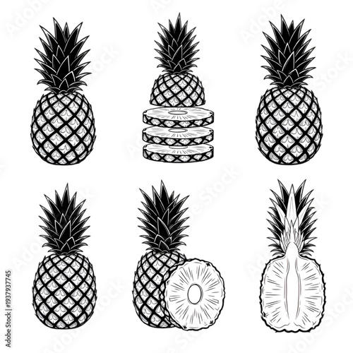 Vector collection of hand drawn pineapple illustrations including whole fruit, cross sections, slices, and half pineapples in black line art style
