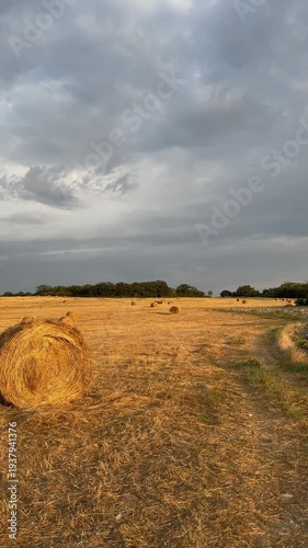 moving forward along a rural path through a harvested field with round hay bales under dramatic cloudy sky in warm evening light, copy space